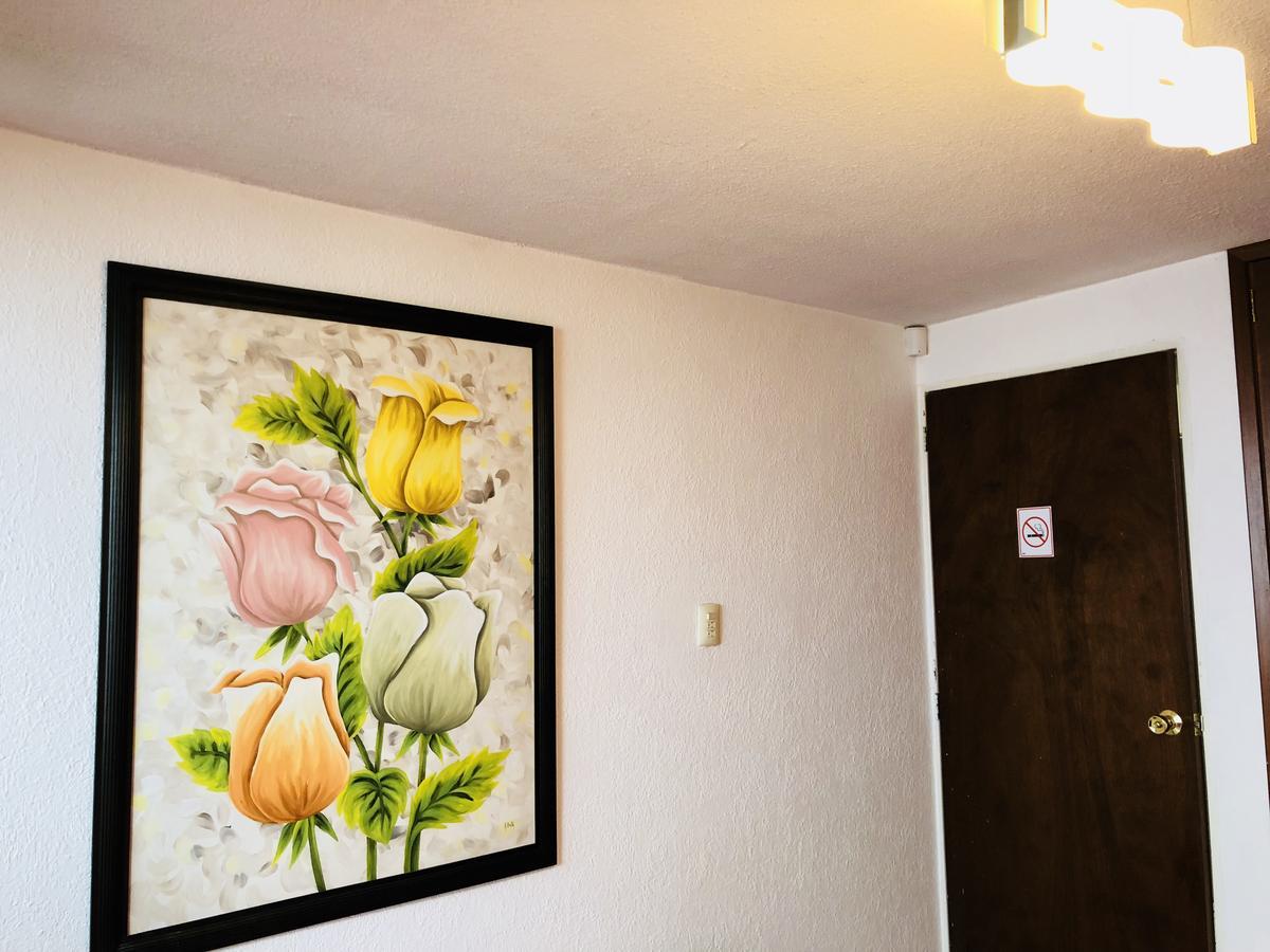 Casa Mima Bed & Breakfast San Luis Potosi Bagian luar foto